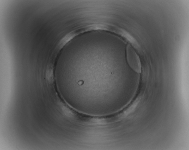 X0000115510977200911131337