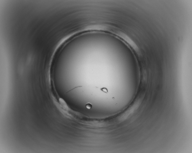 X0000115510980200911131337