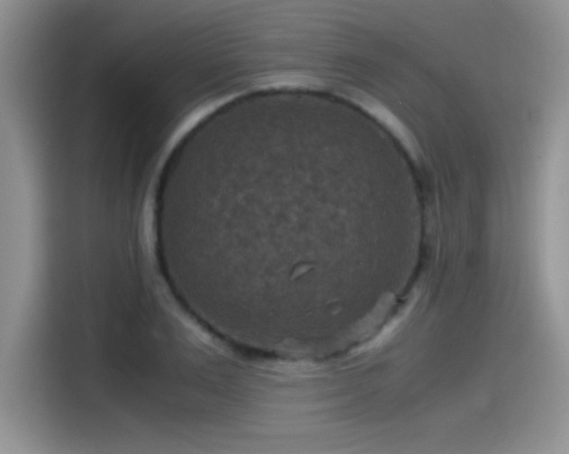 X0000115510983200911131337