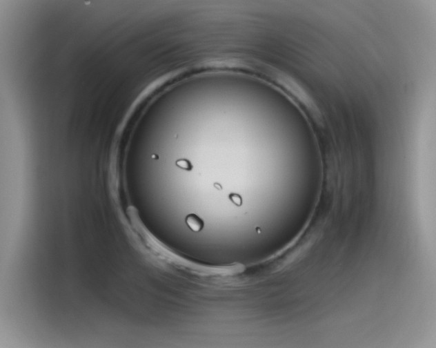 X0000115510984200911131337