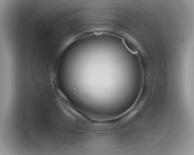 X0000115510985200911131337