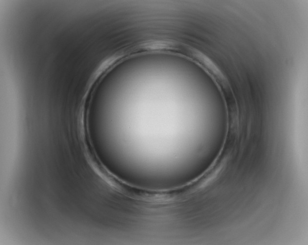 X0000115510986200911131337