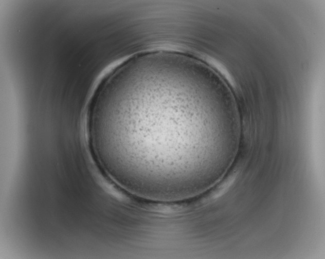 X0000115510987200911131337