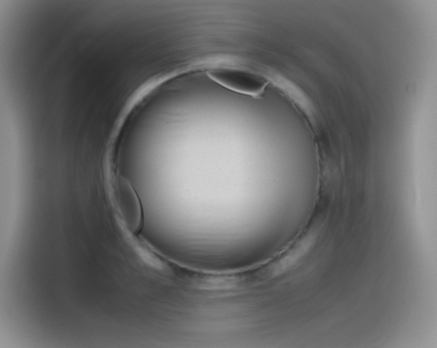 X0000115510989200911131337