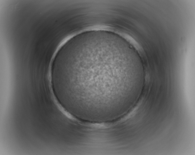 X0000115510990200911131337