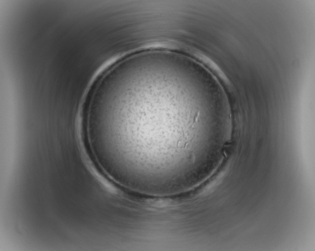 X0000115510991200911131337