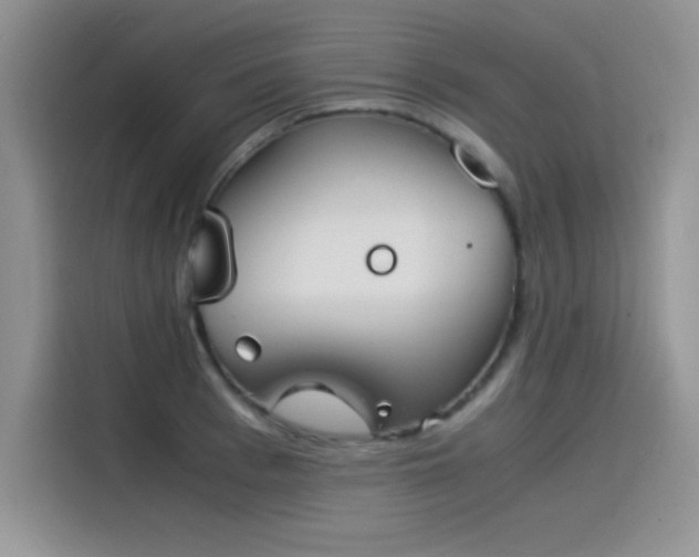 X0000115510993200911131337