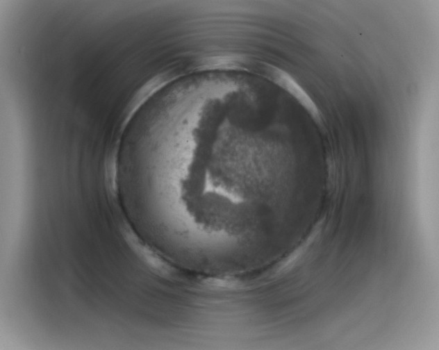 X0000115510994200911131337