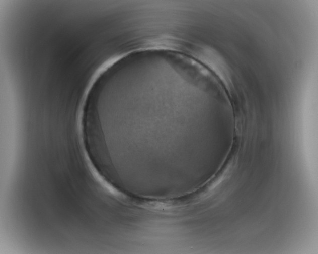 X0000115510995200911131337