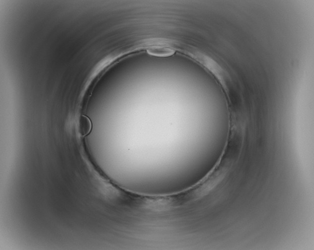 X0000115510997200911131337