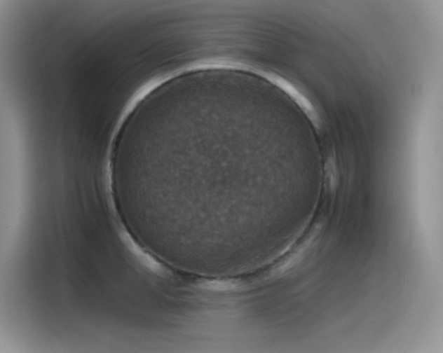 X0000115510998200911131337