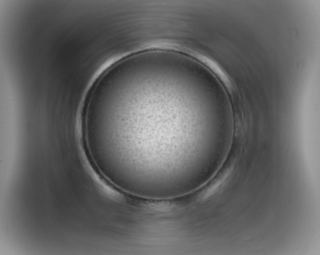 X0000115510999200911131337