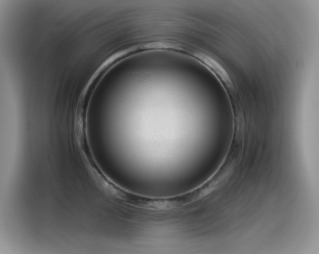 X0000115511000200911131337