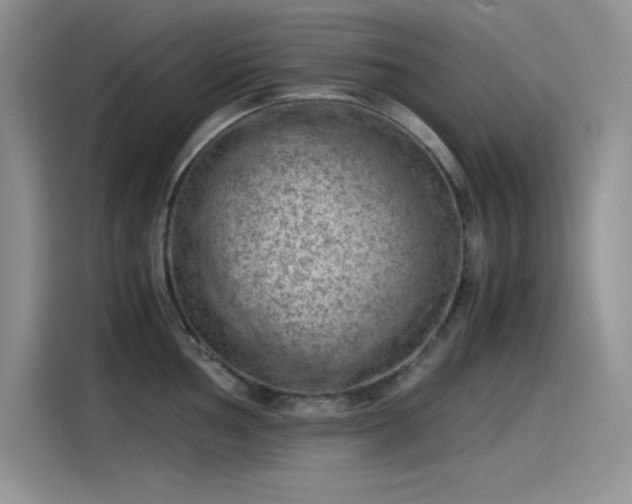 X0000115511002200911131337