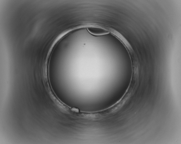 X0000115511004200911131337