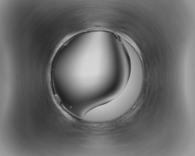 X0000115511005200911131337