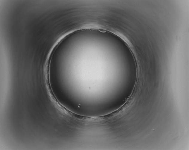 X0000115511008200911131337