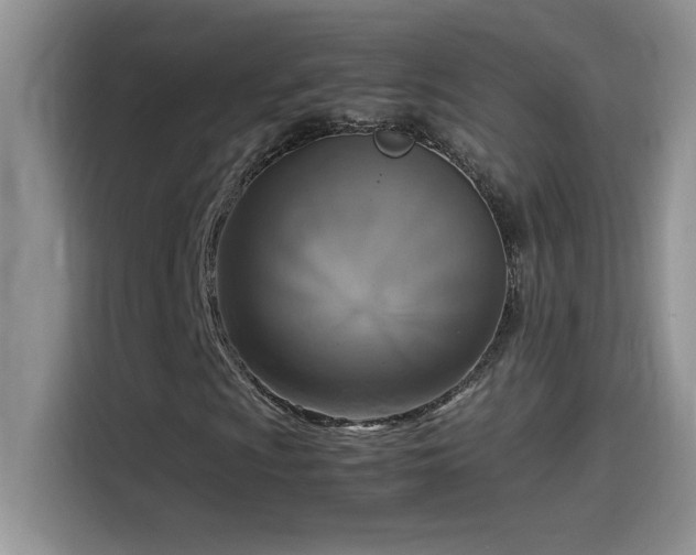 X0000115511009200911131336