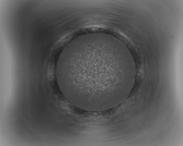 X0000115511014200911131336