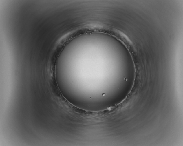 X0000115511016200911131336