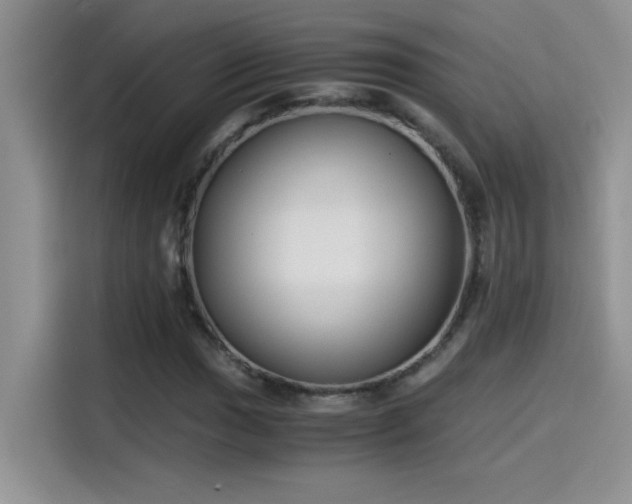 X0000115511017200911131337