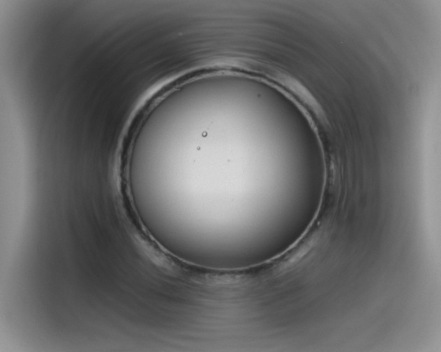 X0000115511020200911131337