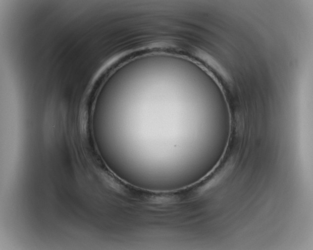 X0000115511021200911131337