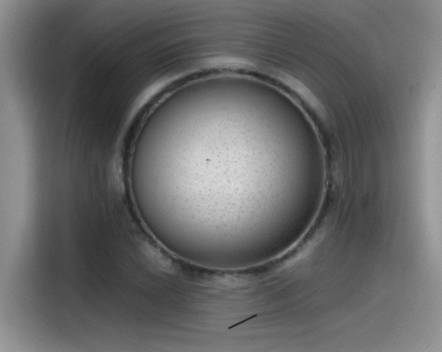 X0000115511022200911131337