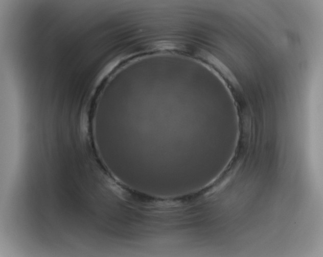 X0000115511023200911131337