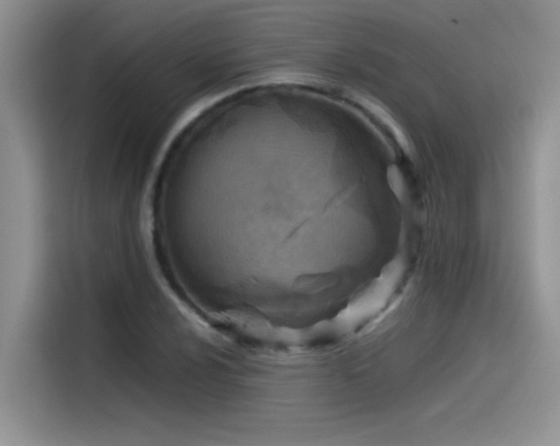 X0000115511024200911131337