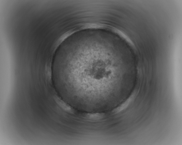 X0000115511025200911131337