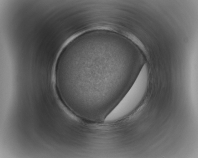 X0000115511028200911131337