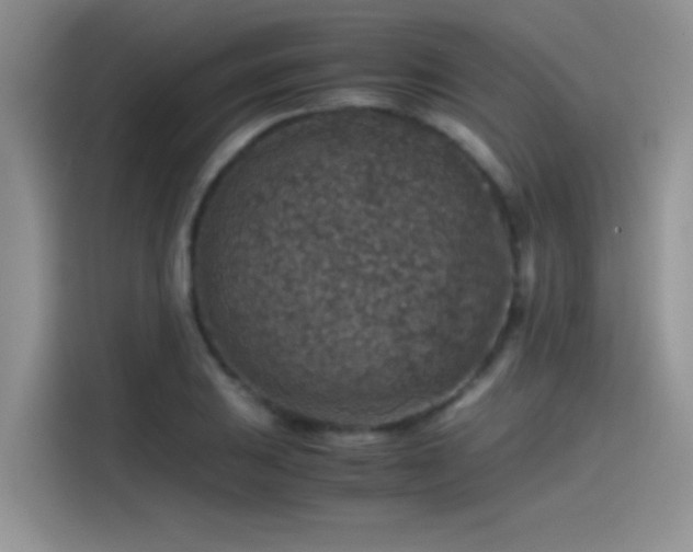 X0000115511031200911131337