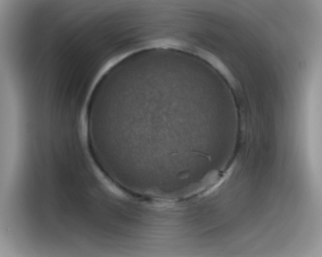 X0000115511032200911131337