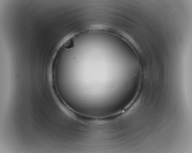 X0000115511034200911131337