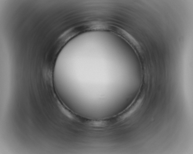 X0000115511041200911131337