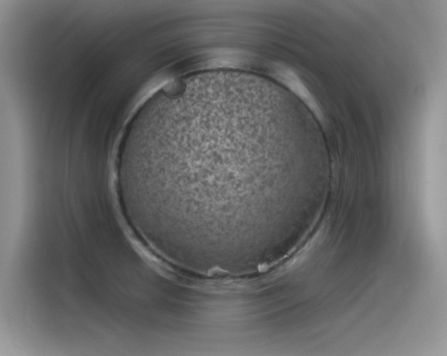 X0000115511042200911131337