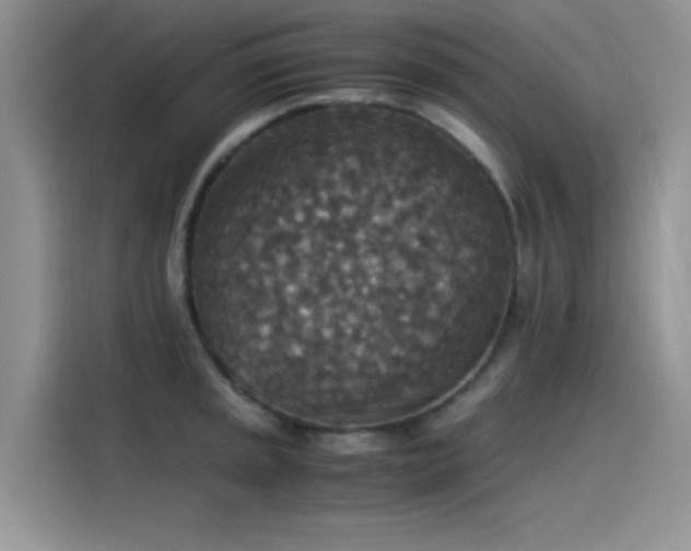 X0000115511045200911131337