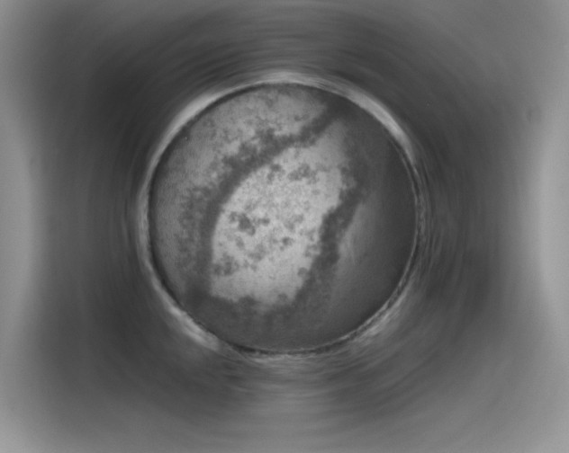 X0000115511048200911131337