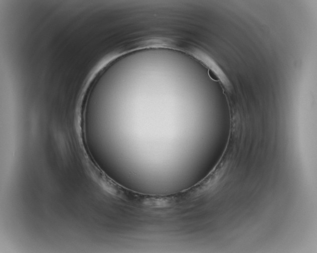 X0000115511051200911131337