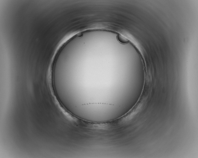 X0000115511053200911131337