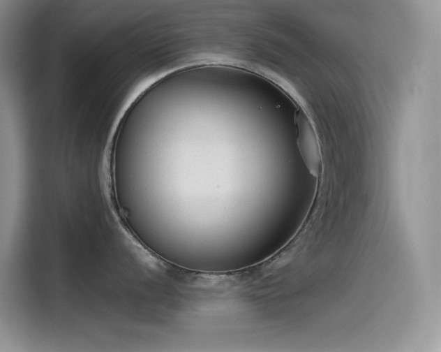 X0000115511056200911131337