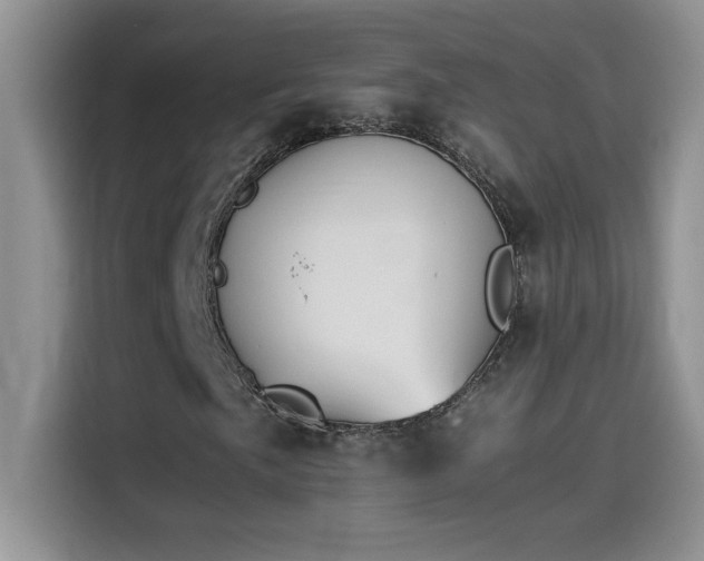 X0000115511057200911131336