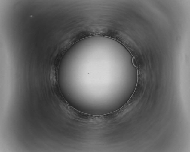 X0000115511058200911131336