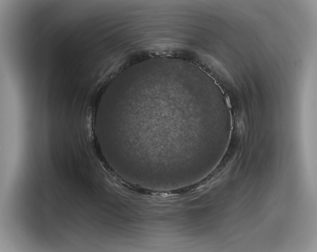 X0000115511060200911131336