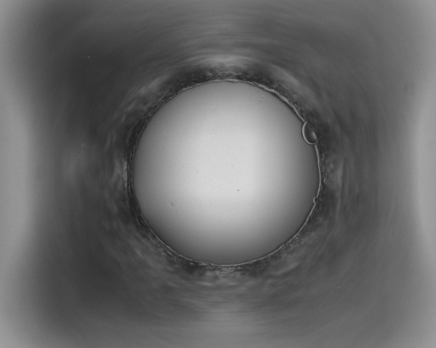 X0000115511061200911131336