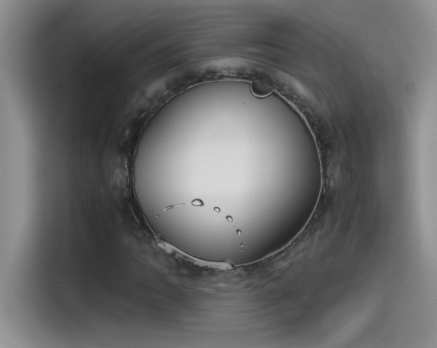 X0000115511062200911131336