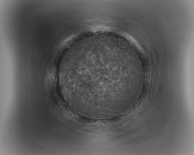 X0000115511063200911131336