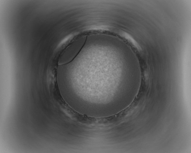 X0000115511064200911131336