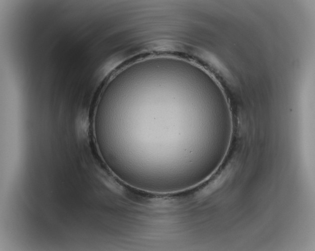 X0000115511065200911131336